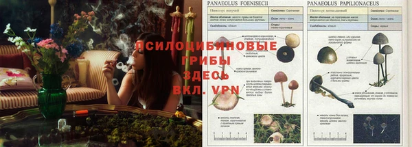 кристаллы Протвино