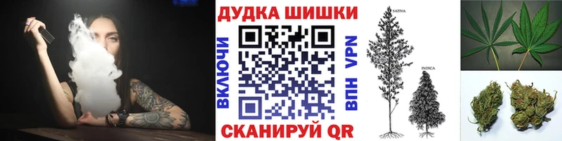 как найти наркотики  Шахунья  Каннабис AK-47 